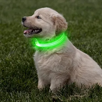 LED Rechargeable Light Up Dog Collar for Safety