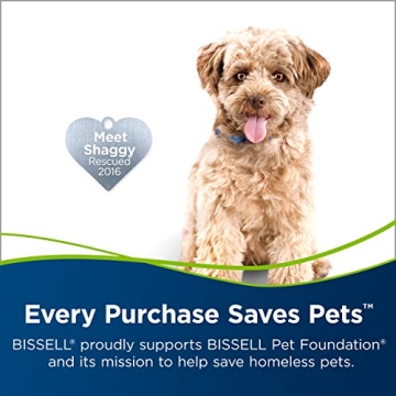 Bissell Turboclean Powerbrush 2085 for Pet Stain Removal