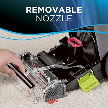 Bissell Turboclean Powerbrush 2085 for Pet Stain Removal