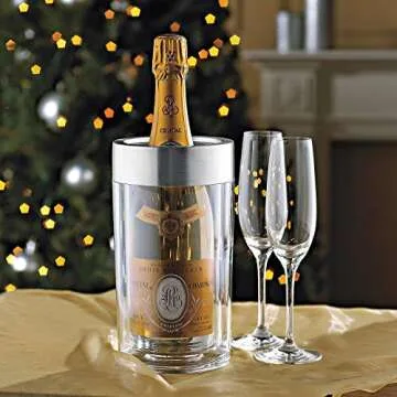 Wine Enthusiast Double Wall Iceless Wine Bottle Chiller