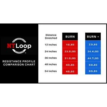 NT Loop Long Resistance Bands with Door Anchor for Home Exercise