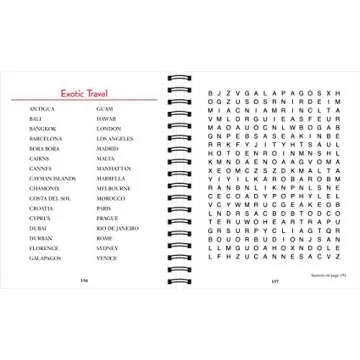 Brain Games Word Searches Large Print for All Ages