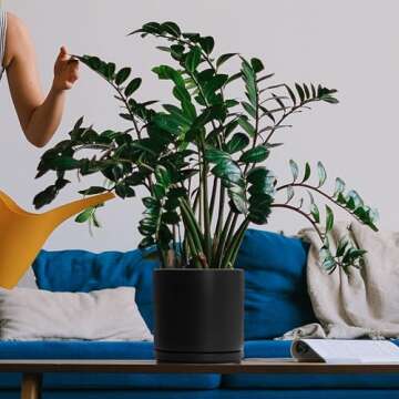 D'vine Dev 8 Inch Ceramic Planter Pot with Drainage Hole and Saucer, Indoor Cylinder Round Planter Pot, Black, 94-O-D-2