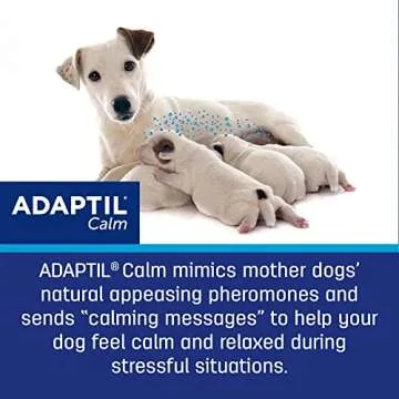 ADAPTIL Dog Calming Pheromone Diffuser Starter Kit