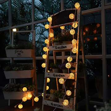 HYAL LUZ Battery Operated 20 LED String Lights, 16.4ft 20 Globe Rattan Balls Christmas Light with Remote Control & Timer, Indoor Fairy String Lights Decorative for Bedroom Party Wedding (Warm White)