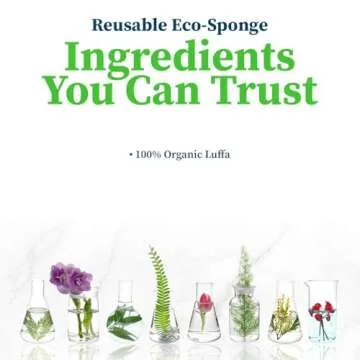 Truly Free Natural Cleaning Sponges, 100% Organic Luffa Dish Scrubber, Plant-Based Compostable Kitchen Dishwasher Sponge, Cleans Sink, Grout & Tile, Non Scratch Scouring Pad - 4.4 x 2.8 in, Pack of 3