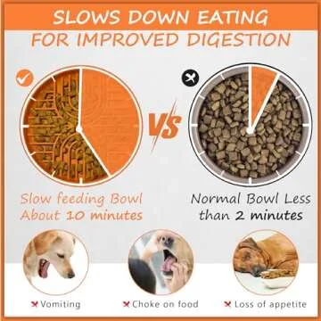 CEOCE Dog Slow Feeder Bowl - Anti-Slip Silicone Design