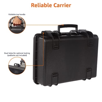 Amazon Basics Medium Hard Camera Case for DSLR Protection