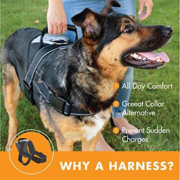 No Pull Dog Harness for Large Breeds - Ultimate Comfort & Control