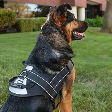 No Pull Dog Harness for Large Breeds with Handle & Reflective Material