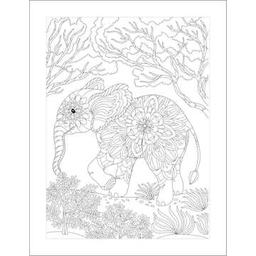 Mindfulness Coloring Book for Teens: Reduce Anxiety, Increase Focus, and Spark Creativity