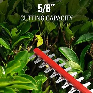 Greenworks 40V Cordless Pole Hedge Trimmer for Easy Trimming