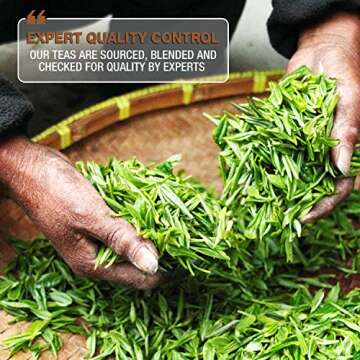 Tipson Organic Turmeric Herbal Infusions - Turmeric Vanilla & Cinnamon Flavor - Caffeine Free, Non GMO, Gluten Free - 25 Premium Tea Bags (Pack of 1)