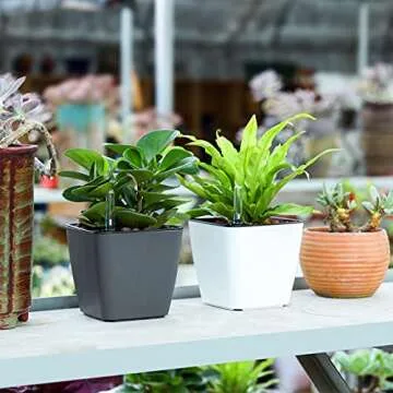 T4U 5.5 Inch Self Watering Plastic Planter with Water Level Indicator Pack of 3 - Matte White, Modern Decorative Planter Flower Pot for House Plants, Herbs, Aloe, African Violets, Succulents