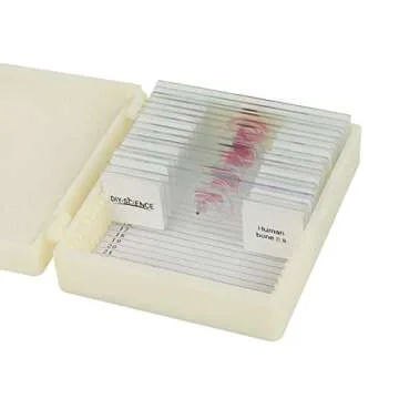 Prepared Human Tissue Anatomy Microscope Slides Set, 17pcs Hand-Prepared Slides Survey The Major Tis...