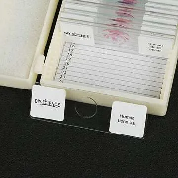 17pcs Human Anatomy Microscope Slide Set for Education