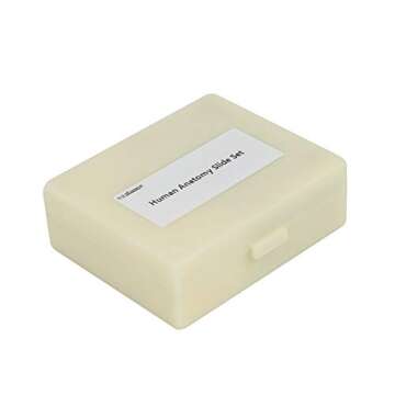 Prepared Human Tissue Anatomy Microscope Slides Set, 17pcs Hand-Prepared Slides Survey The Major Tissues and Organs of Human Body Dedicated to Human Physiology (Human Anatomy)