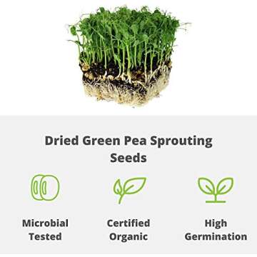 Certified Organic Dried Green Pea Sprouting Seed - 1 Lb - Handy Pantry Brand - Green Pea for Sprouts, Garden Planting, Cooking, Soup, Emergency Food Storage, Vegetable Gardening