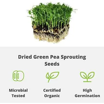 Certified Organic Dried Green Pea Sprouting Seed - 1 Lb - Handy Pantry Brand - Green Pea for Sprouts, Garden Planting, Cooking, Soup, Emergency Food Storage, Vegetable Gardening