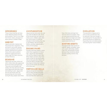 Explore Wild Cats with Engaging Facts for Kids