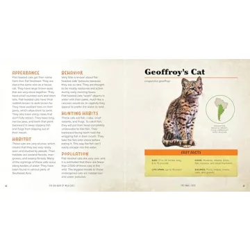 Explore Wild Cats with Engaging Facts for Kids