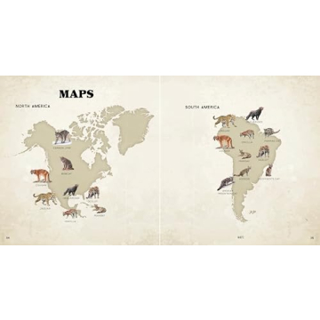 Explore Wild Cats with Engaging Facts for Kids