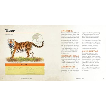 Explore Wild Cats with Engaging Facts for Kids