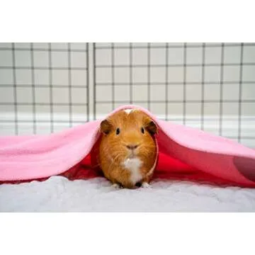 GuineaDad Liner | Ultimate Fleece Guinea Pig Bedding