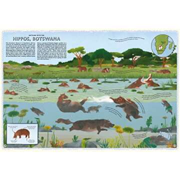 Atlas of Animal Adventures: A collection of nature's most unmissable events, epic migrations and extraordinary behaviours