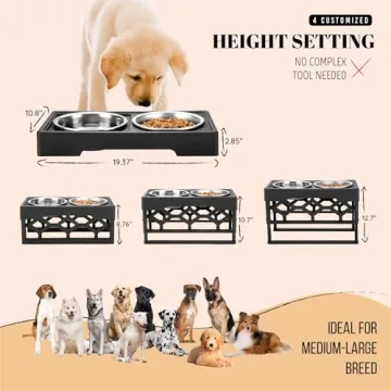 AVERYDAY Elevated Dog Bowls Stand for Healthy Eating