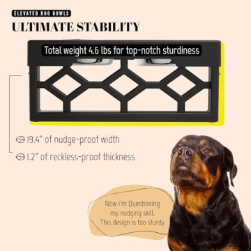 AVERYDAY Elevated Dog Bowls Stand for Healthy Eating