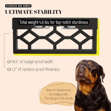 AVERYDAY Elevated Dog Bowls Stand for Healthy Eating