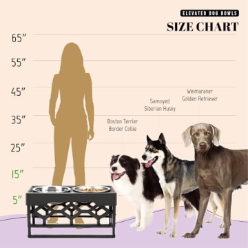 AVERYDAY Elevated Dog Bowls Stand for Healthy Eating