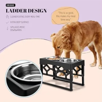AVERYDAY Elevated Dog Bowls Stand for Healthy Eating