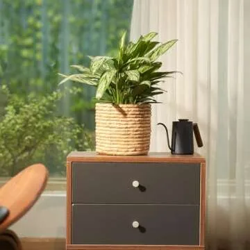 NEERGREVE Set of 2 Water Hyacinth Planter Pot Indoor for Plant, Flower Pot, Succulent Pot, Basket Planter, Decorative Pot Cover (Natural)