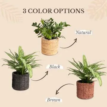 NEERGREVE Set of 2 Water Hyacinth Planter Pot Indoor for Plant, Flower Pot, Succulent Pot, Basket Planter, Decorative Pot Cover (Natural)