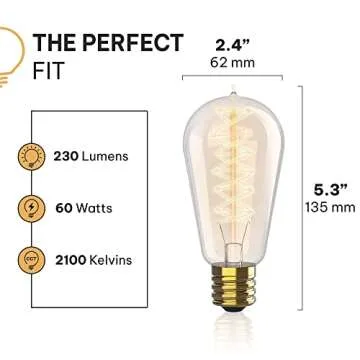 Hudson Bulb Co. Vintage Incandescent Edison Light Bulbs, 60W, E26/E27 Base, 2100K Dimmable Decorativ...