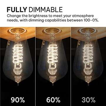 Hudson Bulb Co. Vintage Incandescent Edison Light Bulbs, 60W, E26/E27 Base, 2100K Dimmable Decorative Lights, ST58 Style Warm Glow, Antique Spiral Filament for Outdoor and Indoor Use - 6 Pack