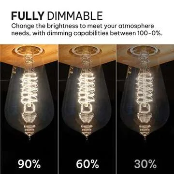 Hudson Bulb Co. Vintage Incandescent Edison Light Bulbs, 60W, E26/E27 Base, 2100K Dimmable Decorative Lights, ST58 Style Warm Glow, Antique Spiral Filament for Outdoor and Indoor Use - 6 Pack