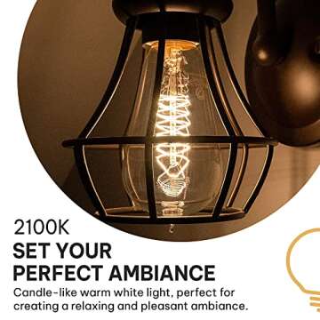 Hudson Bulb Co. Vintage Incandescent Edison Light Bulbs, 60W, E26/E27 Base, 2100K Dimmable Decorative Lights, ST58 Style Warm Glow, Antique Spiral Filament for Outdoor and Indoor Use - 6 Pack