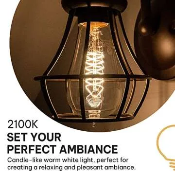 Hudson Bulb Co. Vintage Incandescent Edison Light Bulbs, 60W, E26/E27 Base, 2100K Dimmable Decorative Lights, ST58 Style Warm Glow, Antique Spiral Filament for Outdoor and Indoor Use - 6 Pack