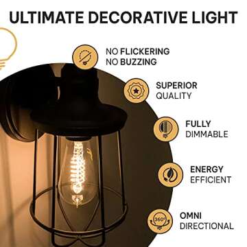 Hudson Bulb Co. Vintage Incandescent Edison Light Bulbs, 60W, E26/E27 Base, 2100K Dimmable Decorative Lights, ST58 Style Warm Glow, Antique Spiral Filament for Outdoor and Indoor Use - 6 Pack