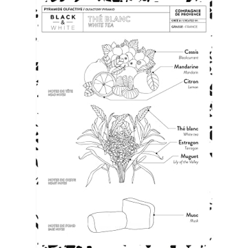 Compagnie de Provence Liquid Soap and Hand Cream White Tea