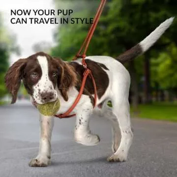 CollarDirect Rolled Leather Dog Harness Small Puppy Step-in Leash Set for Walking Pink Red White Blue Green Black Purple Beige Brown Yellow (Brown, S)