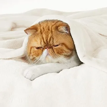 Bedsure Fleece Blanket - 300GSM Cozy Plush Twin Size