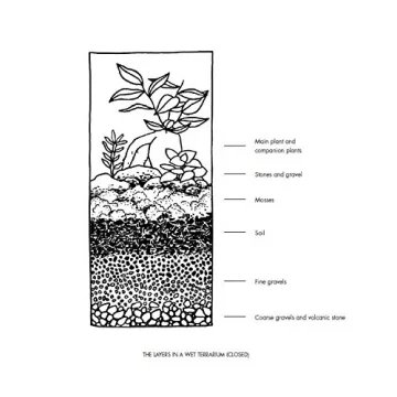 Terrarium Guide with 33 Projects to Inspire Your Creativity