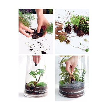 Terrarium Guide with 33 Projects to Inspire Your Creativity
