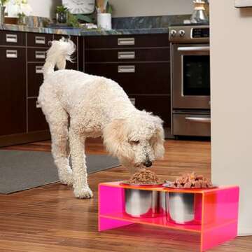 Raised Dog Bowl Stand Large Acrylic Dog Water Bowl Elevated Pet Feeder with Double Big Stainless Bowls for Large Medium Pets, Neon Pink