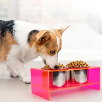 Raised Dog Bowl Stand Large Acrylic Dog Water Bowl Elevated Pet Feeder with Double Big Stainless Bowls for Large Medium Pets, Neon Pink