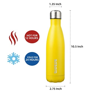 BJPKPK Insulated Water Bottle - 17oz Stainless Steel